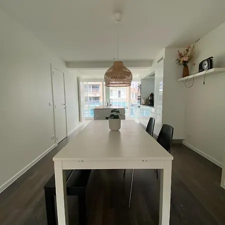 Recent En Lichtrijk Duplex-appartement Te Apartment Wenduine